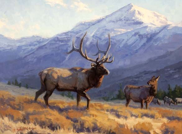 585x432 Artistd Painter Tiffany Stevenson's A Greater View, - Elk Oil Painting