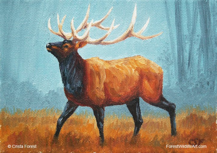 715x504 Forest Wildlife Art One Hour Paint Sketch - Elk Painting