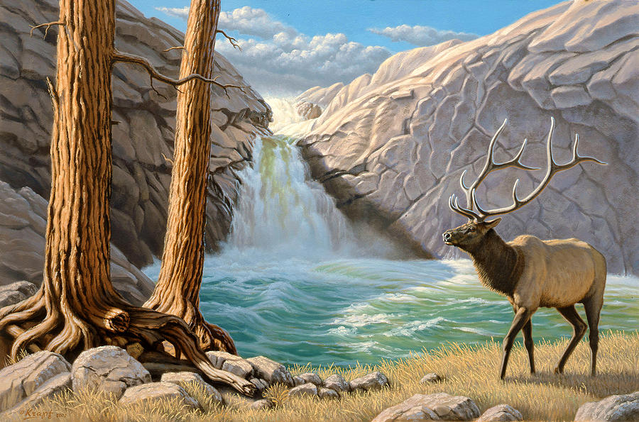900x595 Rocky Mountain Elk Painting By Paul Krapf - Elk Painting