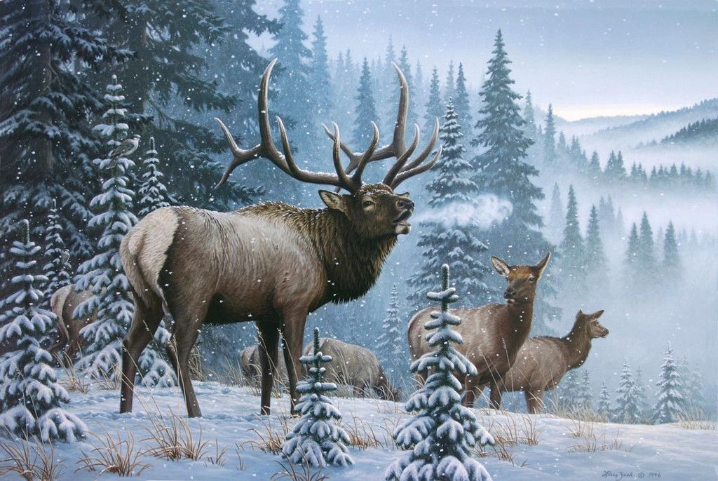 1024x686 Storm's End - Elk Painting