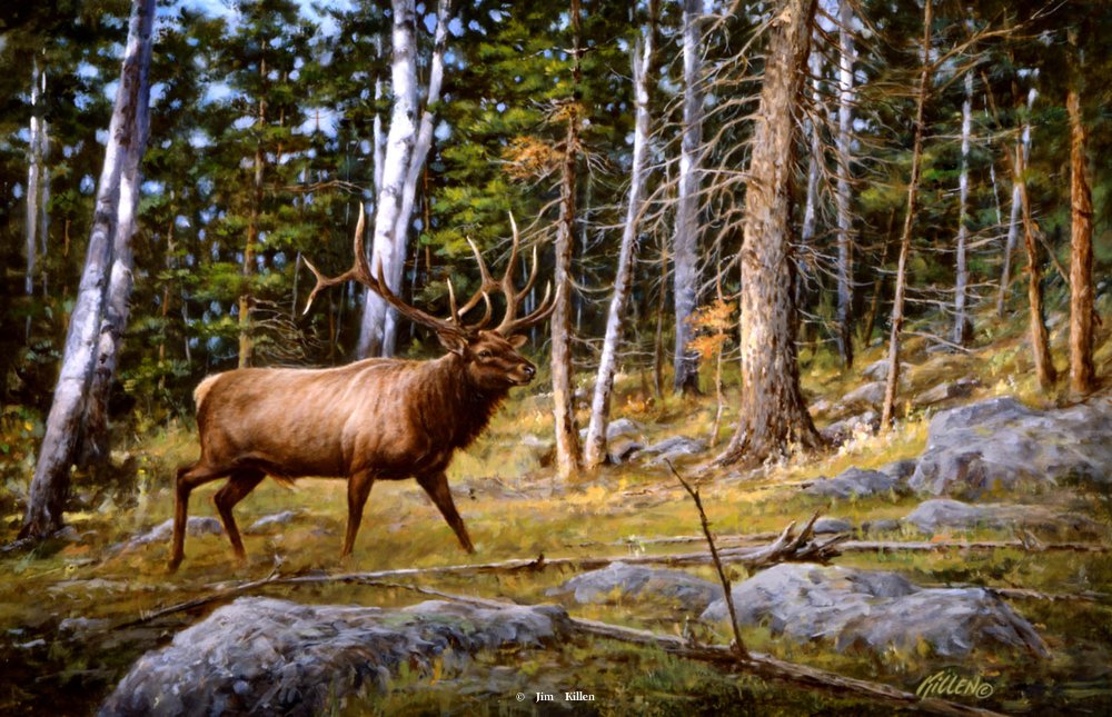 1000x645 Deep Woods Monarch - Elk Painting