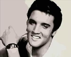 300x239 Paint By Number Kit Paint Elvis Presley Photo Poster Painting - Elvis Presley Painting