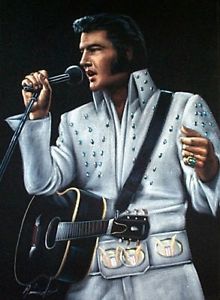 220x300 New Hand Painted 36amp 034x24amp 034 Velvet Elvis Presley White Jump - Elvis Presley Velvet Painting