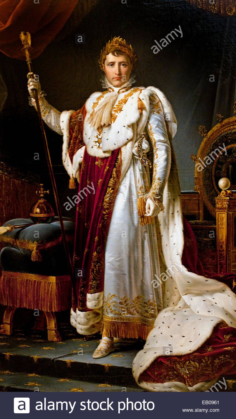 782x1390 Painting Emperor Napoleon Bonaparte Stock Photos Amp Painting - Emperor Painting