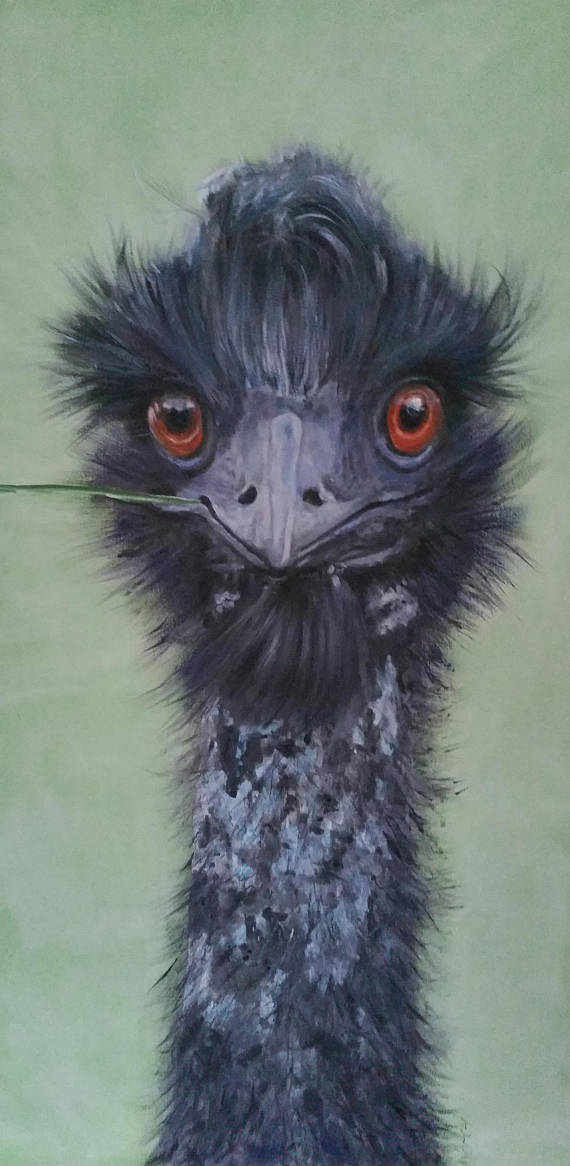 Emu Painting at PaintingValley.com | Explore collection of Emu Painting