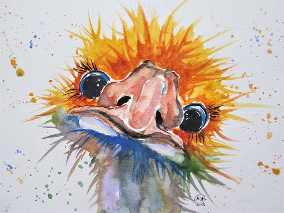 570x427 Original Emu Art Colorful Ostrich Painting Bird Art Gift - Emu Painting