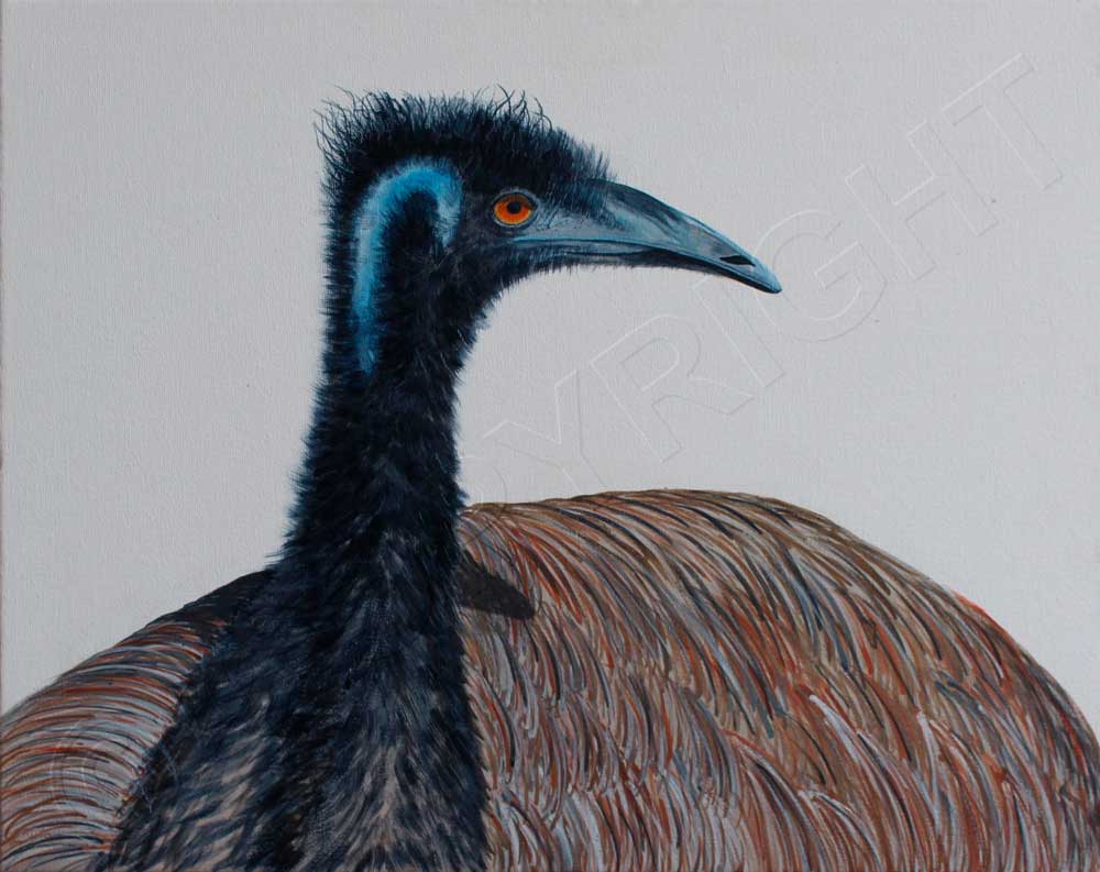 1000x793 Brisbane Artist Artist Paintings Acrylic Painting Art - Emu Painting