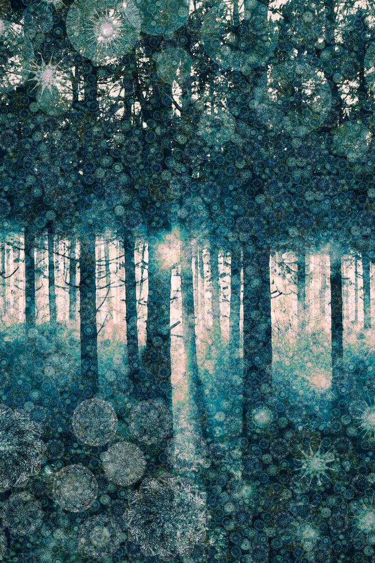 770x1155 Saatchi Art Enchanted Forest (Ltd Edition Of Only 20 Fine Art - Enchanted Forest Painting