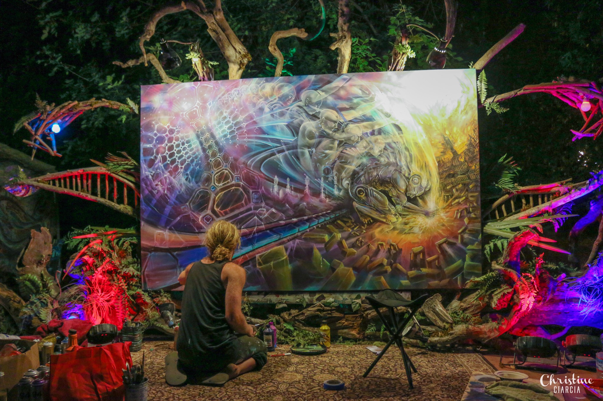 2048x1365 Enchanted Forest Gathering 2015 - Enchanted Forest Painting
