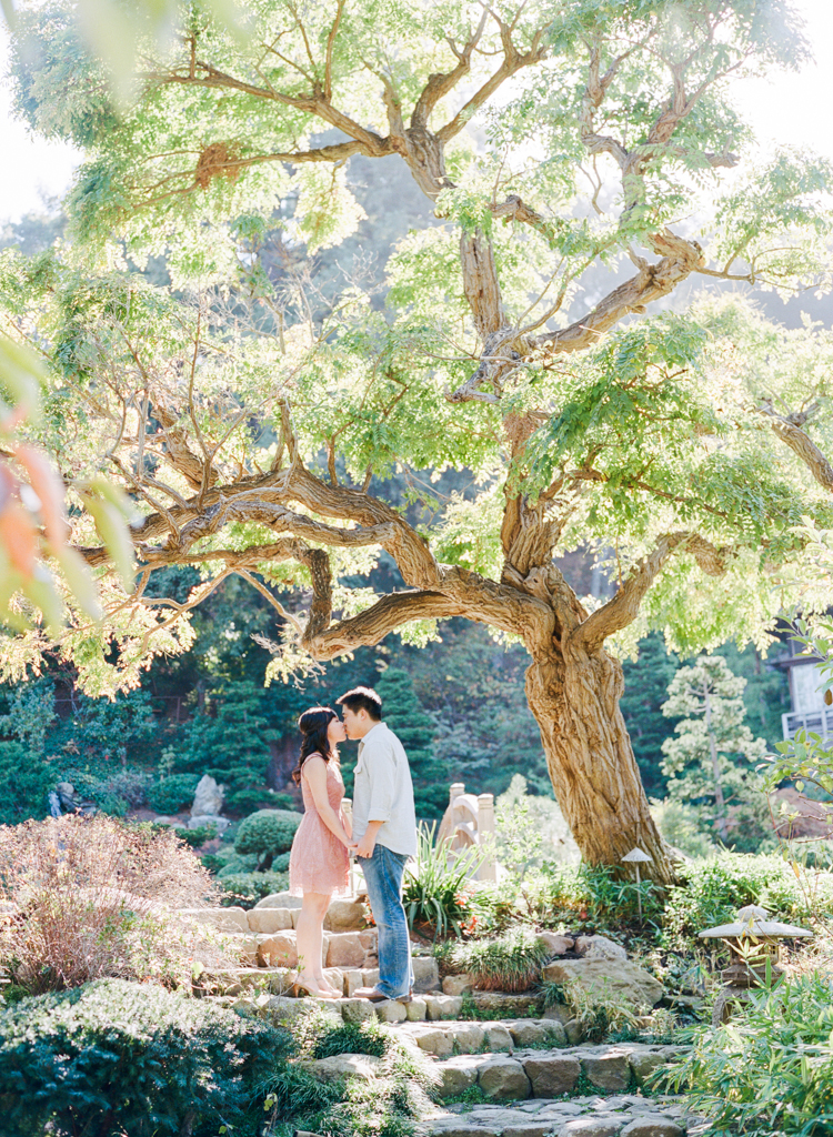 750x1024 Gloria + Jonathan Northern California Engagement - Engagement Painting