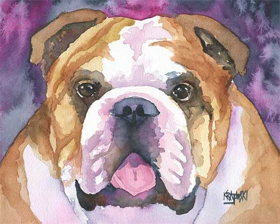 570x456 English Bulldog Art Print Of Original Watercolor Painting - English Bulldog Painting