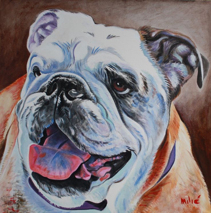 English Bulldog Painting at PaintingValley.com | Explore collection of ...