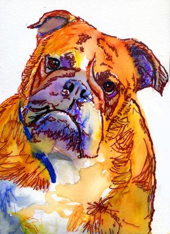 348x480 English Bulldog Art Print Orange Yellow Watercolor Bulldog Art - English Bulldog Painting