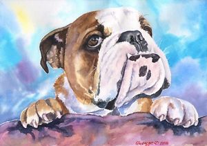 300x211 English Bulldog Print Of The Original Watercolor Painting Cute - English Bulldog Painting