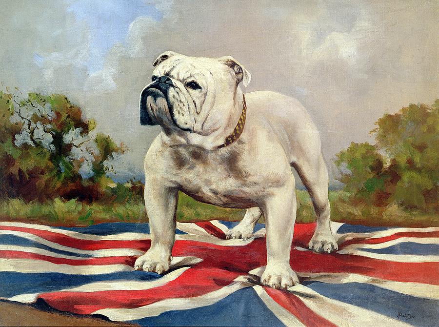 900x670 British Bulldog Painting By English School - English Bulldog Painting