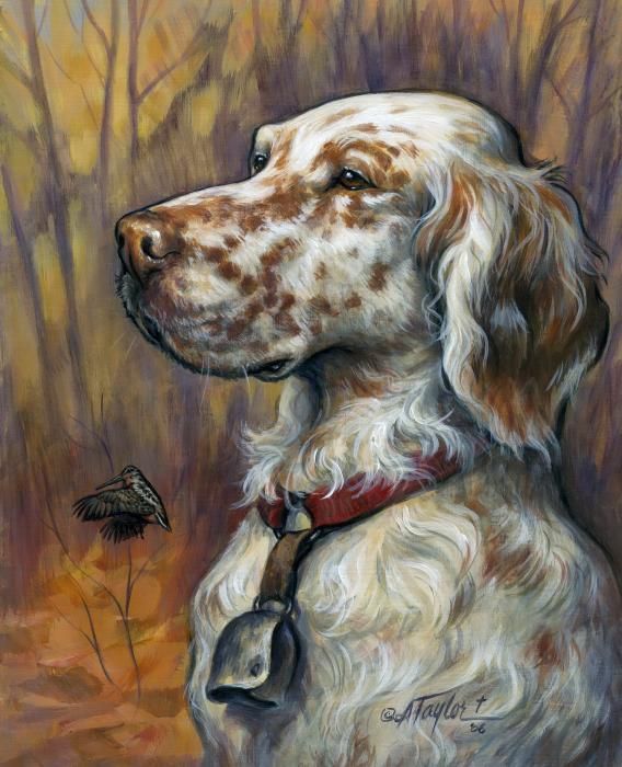 568x700 English Setter Canvas Print Canvas Art By Alice Taylor - English Setter Painting