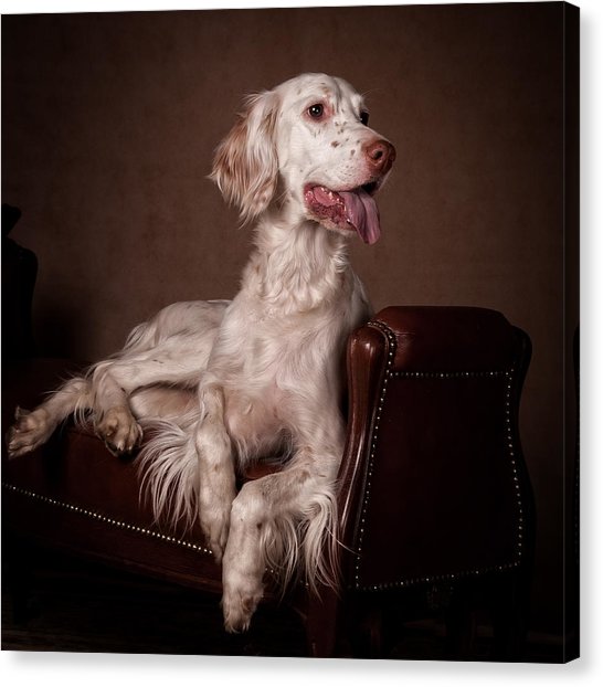 546x622 English Setter Painting By Tanya Kozlovsky - English Setter Painting