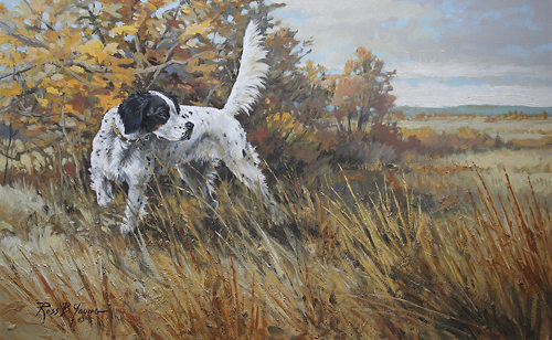 500x308 Hedgerow Point, English Setter Hunting Dog Artwork, Framed Print - English Setter Painting