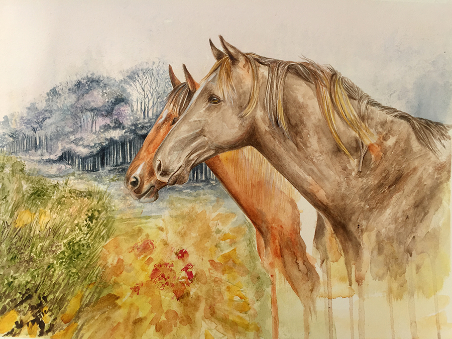 900x675 Horse Art Horse Watercolour Painting Equine Art Horse Art - Equine Painting