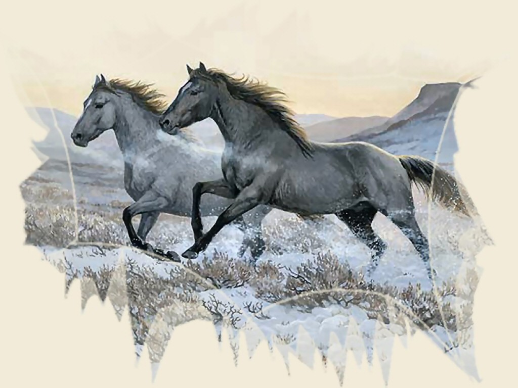 1024x768 Horse Painting Animals Persis Weirs Racers Clayton Horses Grey - Equine Painting
