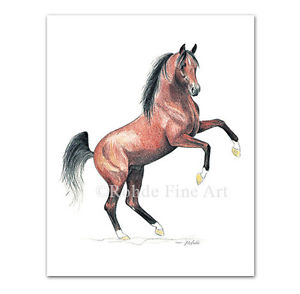 300x294 Bask - Equine Painting