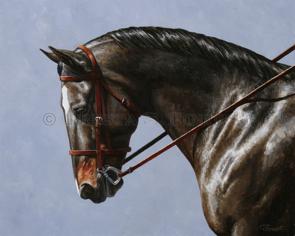 1000x800 Crista Forest Equine Art - Equine Painting