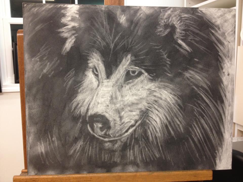 960x720 New Pastel Painting Alaskan Malamute Pencils, Pastels, And Paint - Eraser Painting
