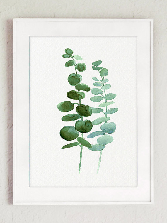 570x760 Set Of 3 Plants Watercolor Painting, Botanical Illustration, Mint - Eucalyptus Painting