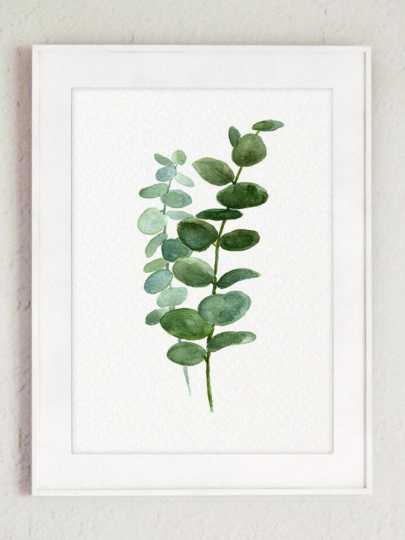 570x760 Silver Dollar Eucalyptus Leaves Green Blue Leaf Watercolor - Eucalyptus Painting
