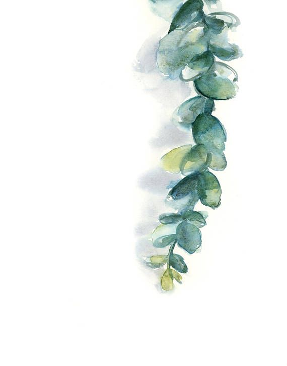 570x726 Eucalyptus Art Prints Set, Set Of 2 Prints , Green Eucalyptus - Eucalyptus Painting