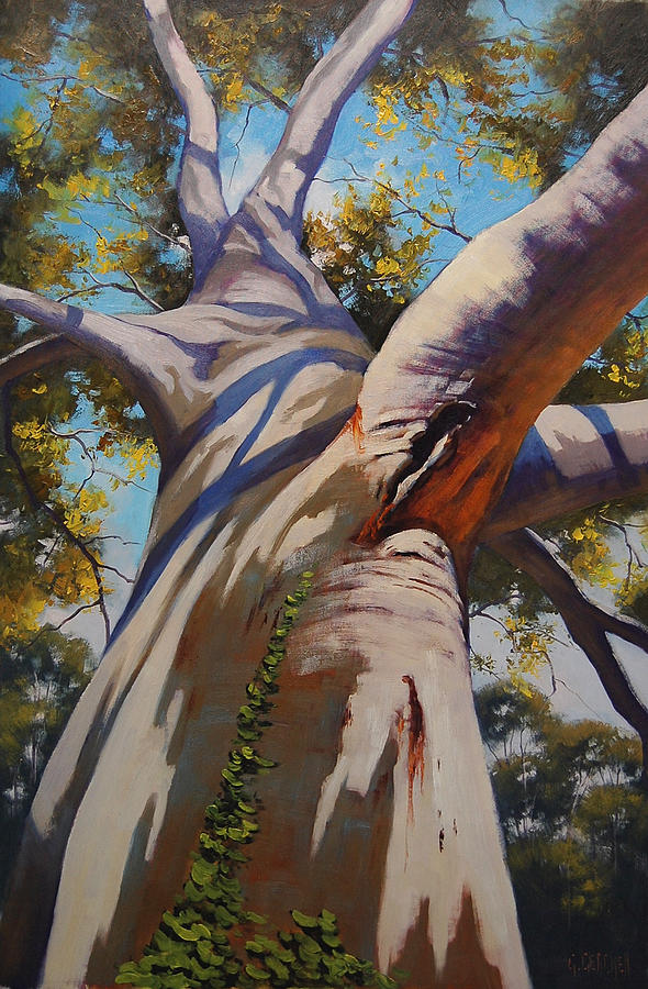 590x900 Eucalyptus Tree Portrait Painting By Graham Gercken - Eucalyptus Painting