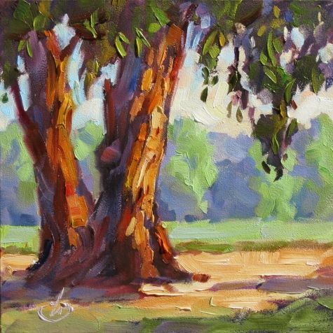 475x476 Eucalyptus Trees - Eucalyptus Tree Painting
