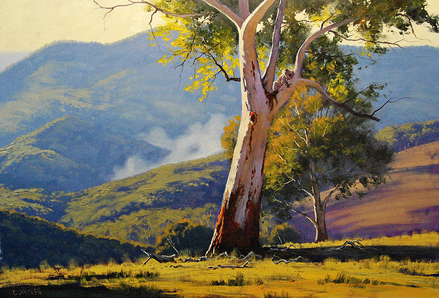 900x610 Turon Gum Tree Painting By Graham Gercken - Eucalyptus Tree Painting