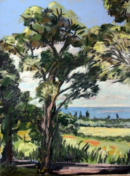 455x616 Lg Eucalyptus Trees And View 9x12.jpg Paint - Eucalyptus Tree Painting