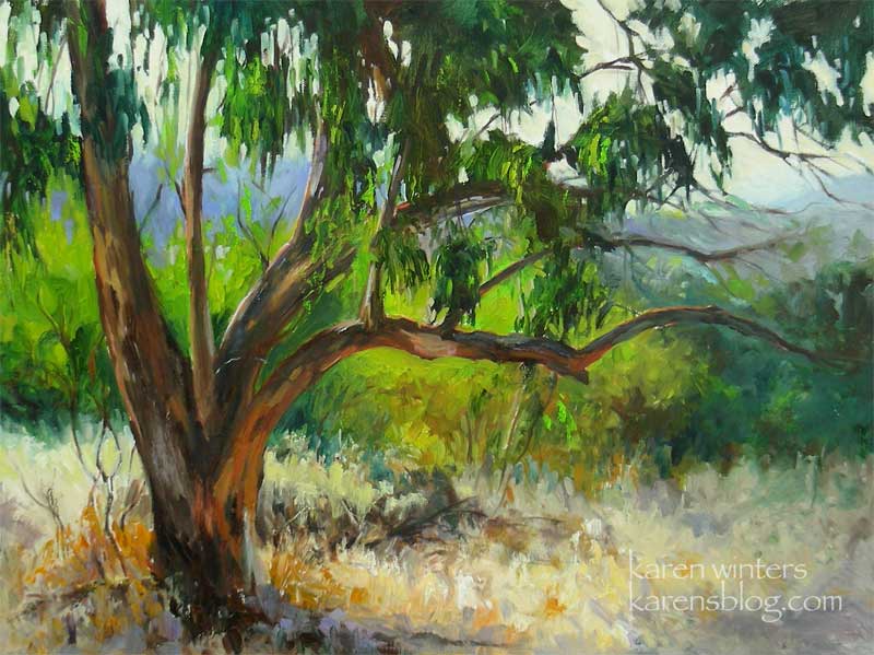 800x599 California Eucalyptus Impressionist Oil Painting By Karen - Eucalyptus Tree Painting