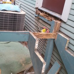 250x250 Euro Painting And Remodeling - Euro Painting