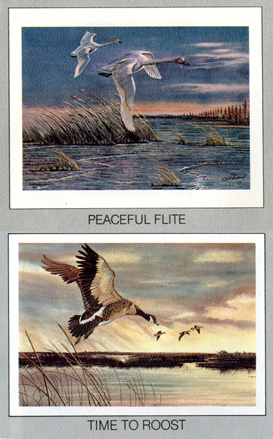 560x900 Mitch O'Connell Evel Knievel Daredevil Of The Paintbrush! - Evel Knievel Painting