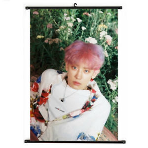 300x300 Kpop Exo Chanyeol The War Hanging Painting Art Painting Wall - Exo Painting