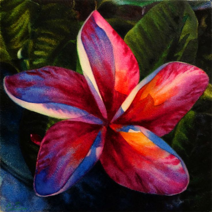 736x735 Tropical Flowers - Exotic Flower Painting