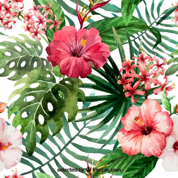 626x626 Watercolor Tropical Fruit And Plants Vector Free Download - Exotic Flower Painting