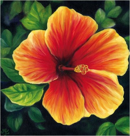 450x468 Tropical Floral Paintings - Exotic Flower Painting