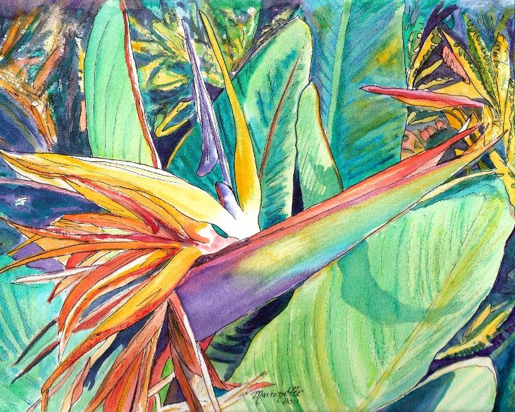 750x600 Bird Of Paradise Art, Tropical Flower Paintings, 8x10 Prints - Exotic Flower Painting