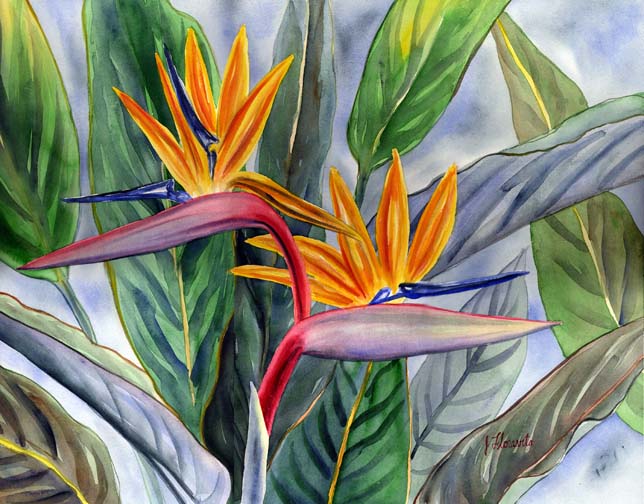 Exotic Flower Painting at PaintingValley.com | Explore collection of ...