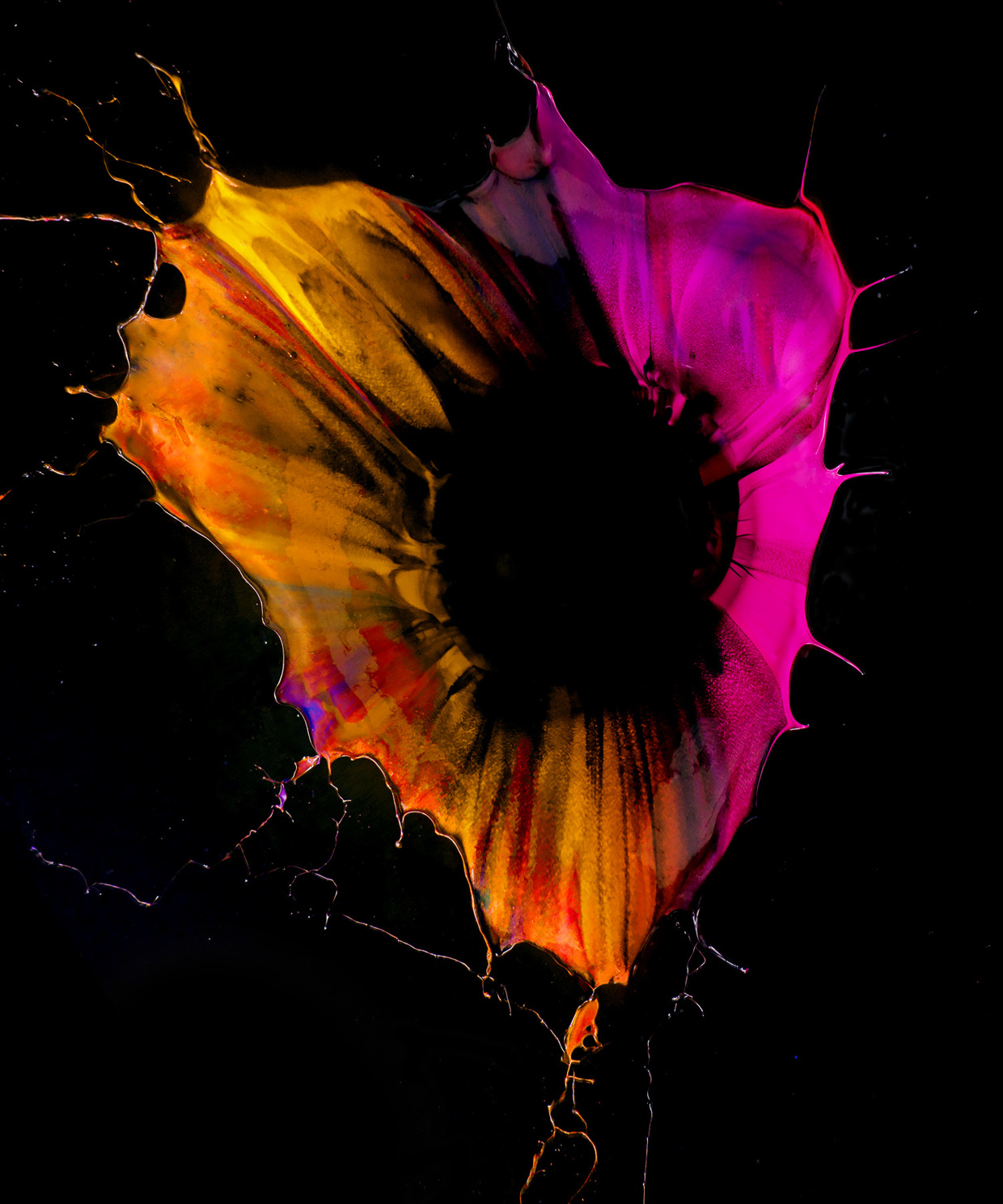 1240x1488 Orchid Exploding High Speed Paint Flowers By Fabian Oefner Colossal - Exploding Painting