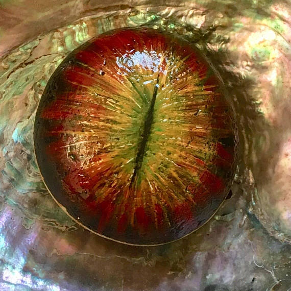 570x570 Eye Of Sauron Painted Stone Lord Of The Rings Dragon - Eye Of Sauron Painting