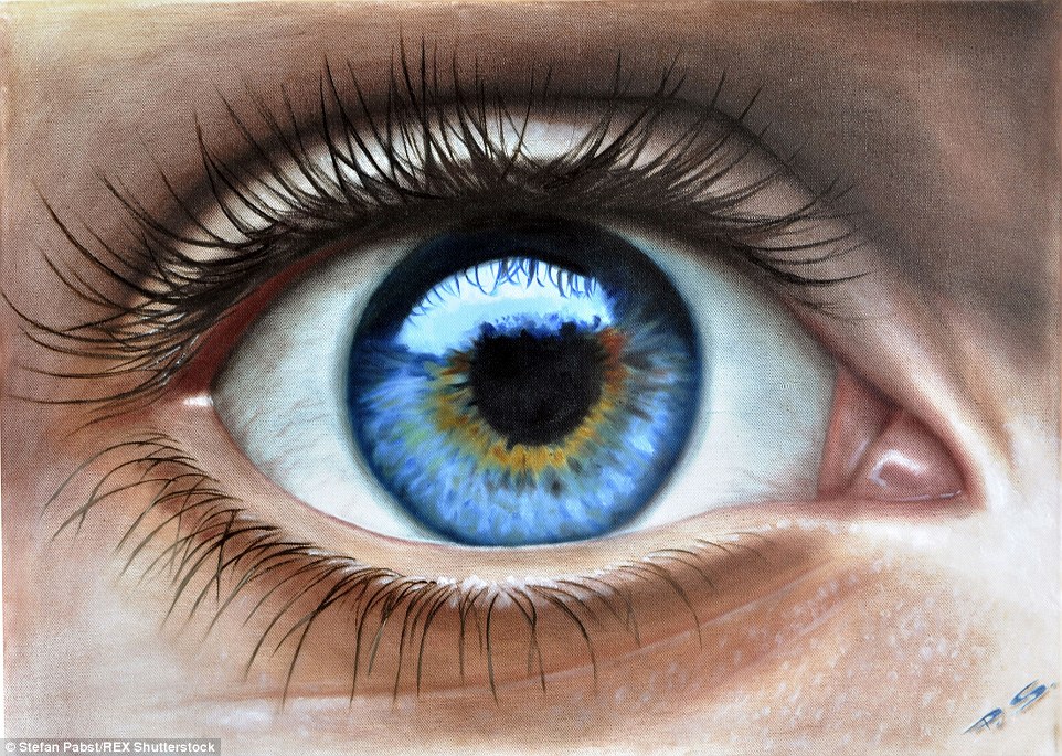 962x685 Artist Stefan Pabst Incredible 3d Paintings Will Leave Your Eyes - Eye Painting Artist