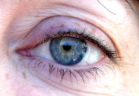 448x309 Painting Realistic Eyes And Skin Tones - Eyeball Painting