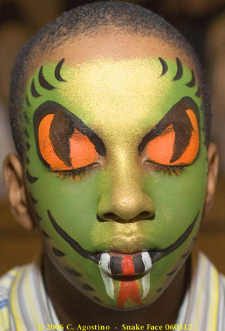329x483 About Face Painting - Face Painting