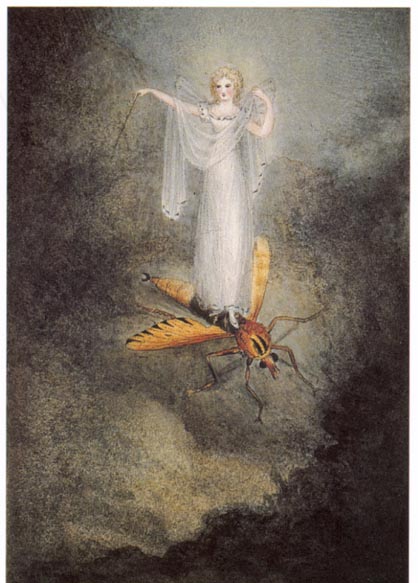 418x583 Victorian Fairy Painting - Faerie Painting