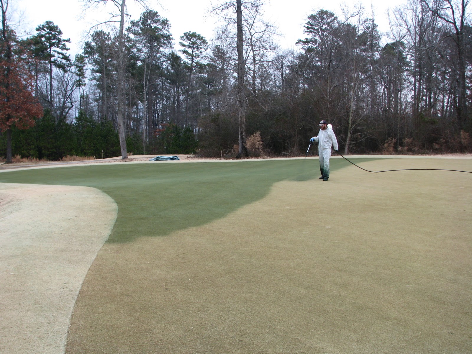 1600x1200 The Bear Trace - Fairway Painting